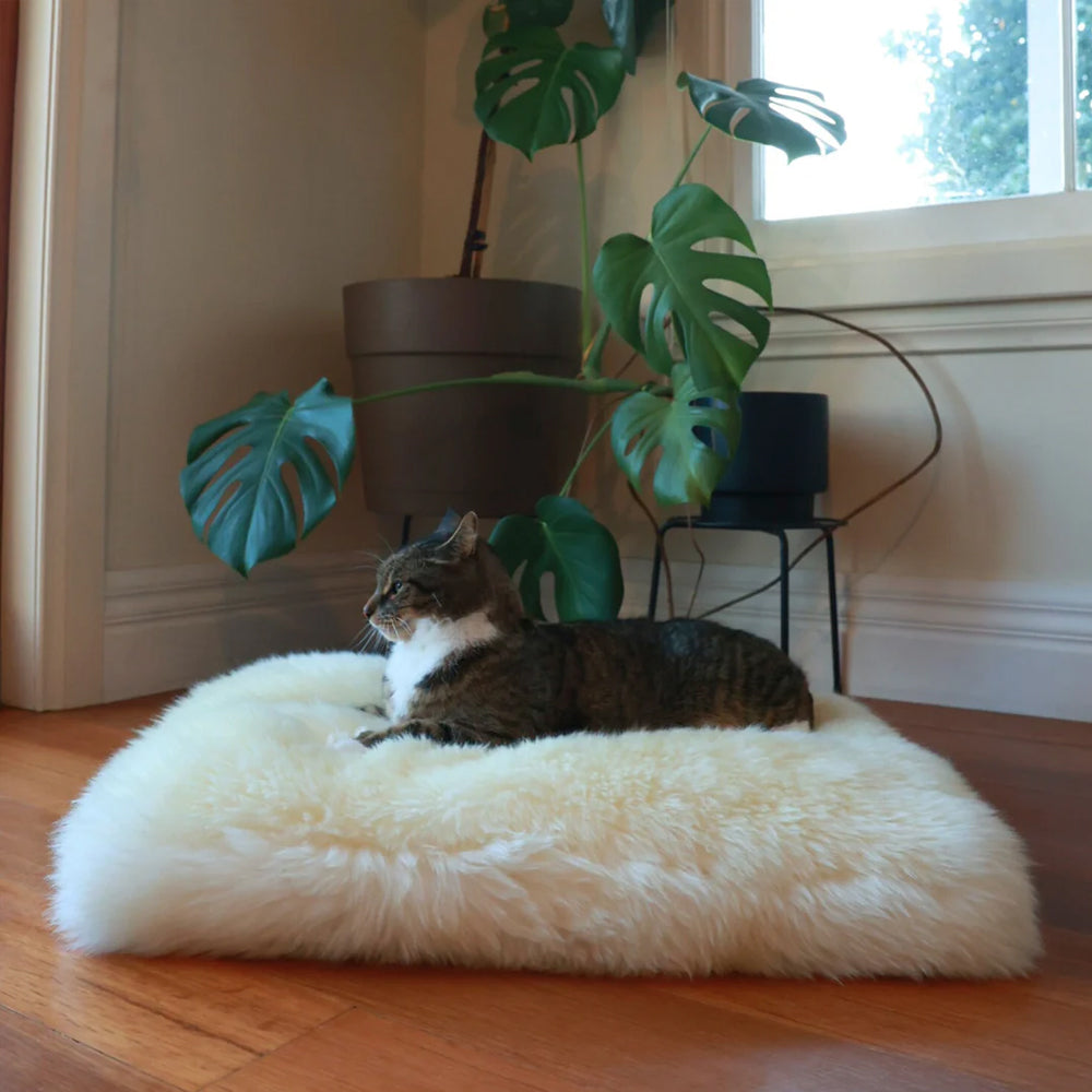 PET BED